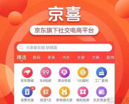京东爆料最新信息,最新产品信息大揭秘，抢先看未来科技潮流！
